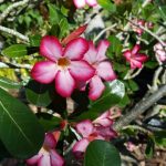 article image -